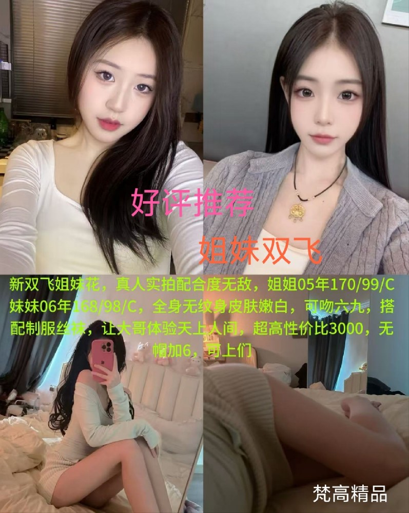 梵高-姐妹双飞
