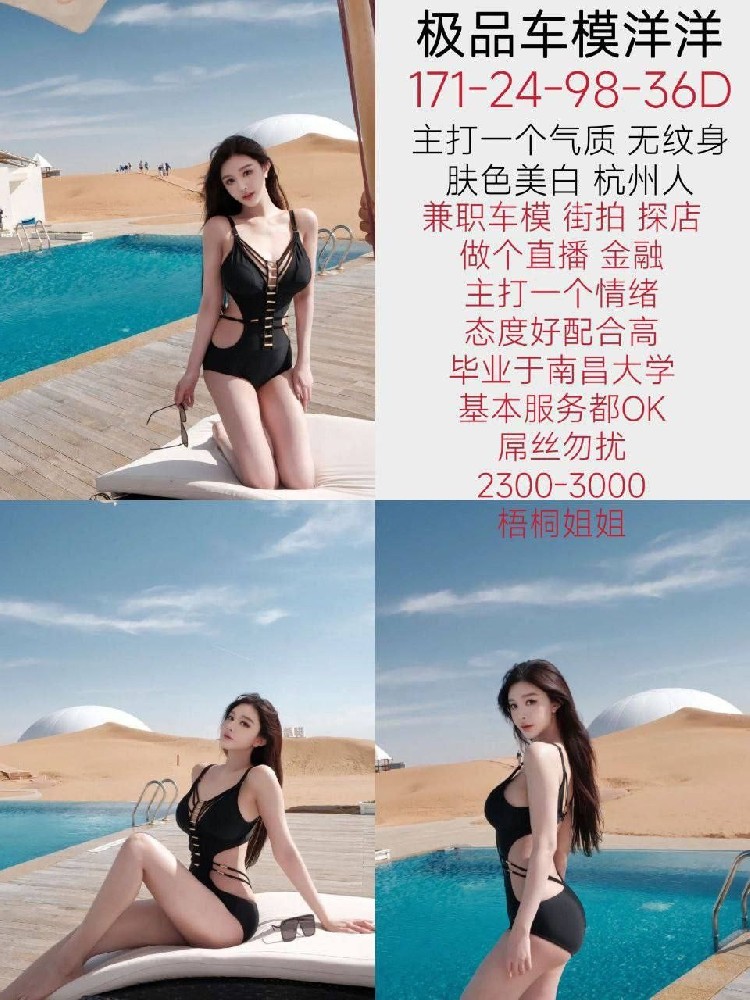 梧桐-洋洋